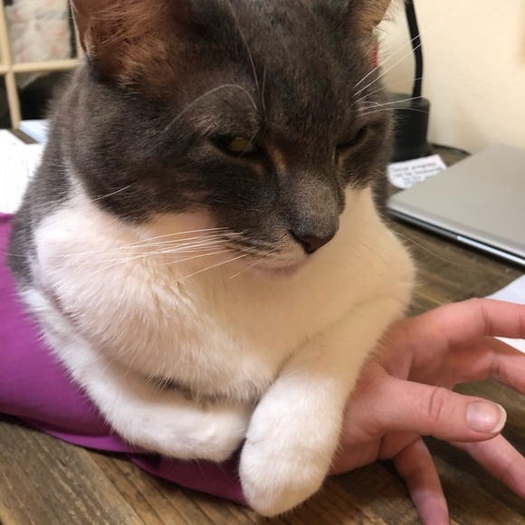 Meet your Posher, Megan - Picture 3 of 10